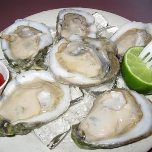 oysters on the half shell