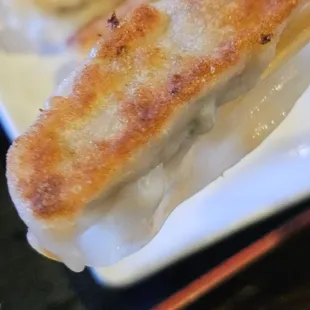 Gyoza