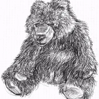 Winnie L.