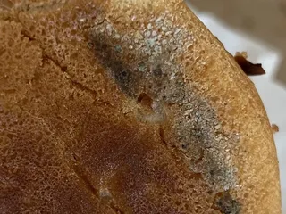 Tam's Burgers
