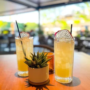 Lychee Fizz - mocktail version