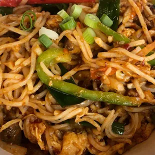 Hakka Noodles