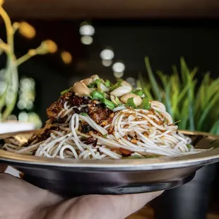 Yummy Szechuan Cold Noodle!