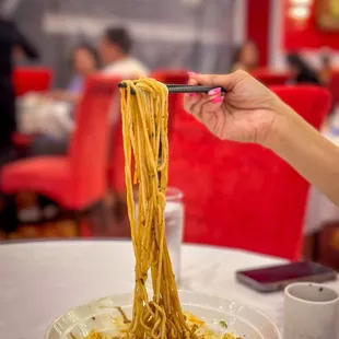 dan dan noodle - very authentic Sichuan noodle with great numbing spices