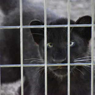 Would love to be this one's keeper.