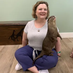 The Otter Experience