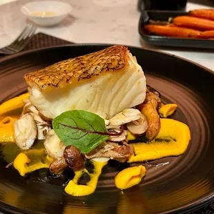 Patagonian toothfish