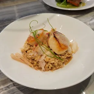 Scallops Risotto Cab