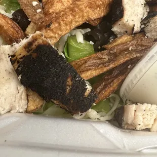 Burnt chicken salad with watered lettuce and dry French fries