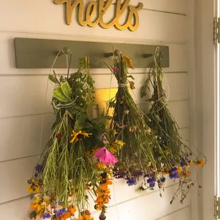 hanging herbs on a wall
