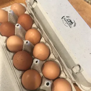 Farm Fresh Eggs
