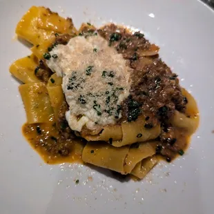 Bolognese