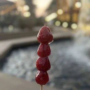 Candied fruit