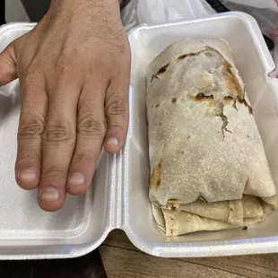 Large size burrito