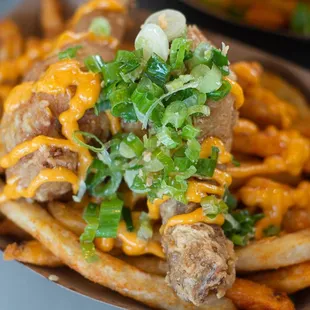 a plate of french fries with meat and cheese