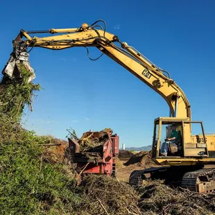 Leafy green landscape debris is sorted, ground, and recucled into organic compost, mulch, wood chips, and other Tank's Green Stuff products.