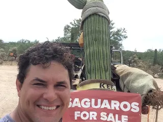 Arizona Native Plants