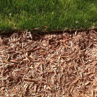 Tank's Green Stuff Dec0rative wood chips