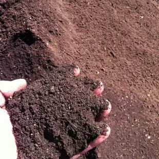 Tank's Green Stuff Fine Compost