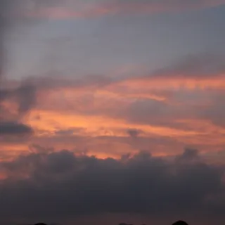 C W.