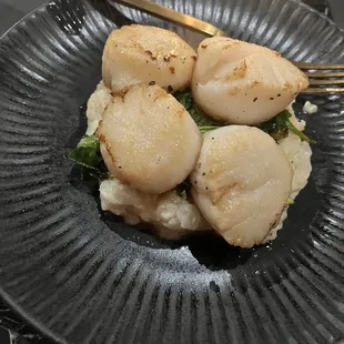 Scallops