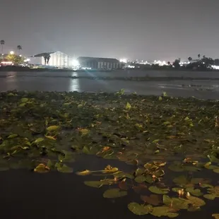 a view of a lake at night