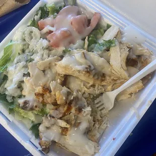 Chicken Shawarma Plate