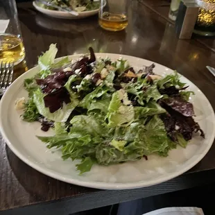Large house salad