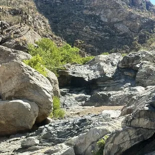 Great small hike. Dogs are allowed.