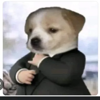 Edgar S.