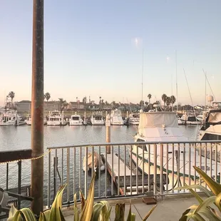 Views out on the patio