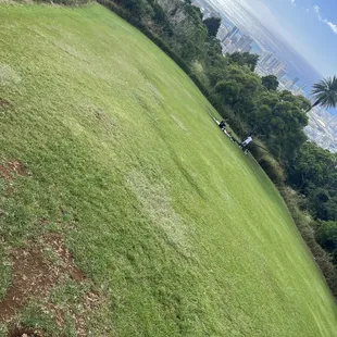 A part of Tantalus Lookout that's often used for picnics