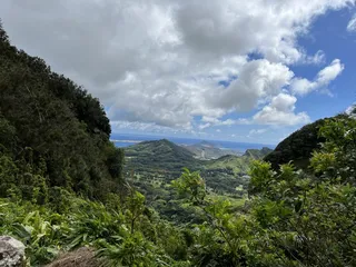 Hawaii Forest & Trail