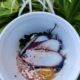 Tako (octopus) sunomono appetizer... On a bed of nori and ogo with finely julienned radish... beautiful and refreshing!