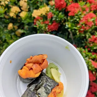 Uni nigiri... Takeout version... At Ho'omaluhia Botanical Garden