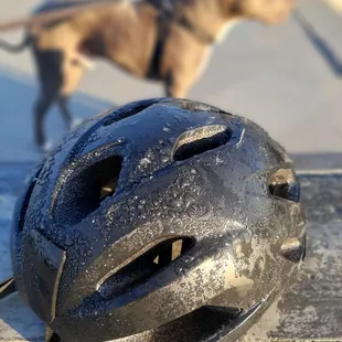 Just another item left behind overnight, frozen style. January 2021