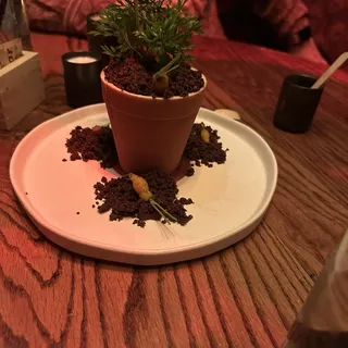 Potted Carrot Cake