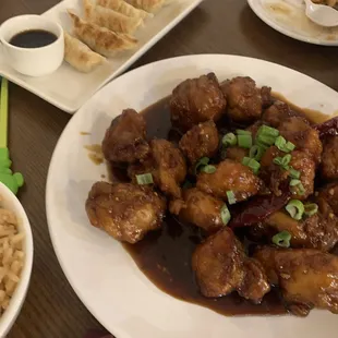 Pan Fried Pork Dumplings