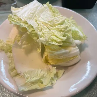 Napa Cabbage