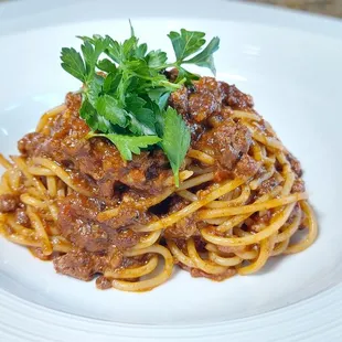 Bolognese &quot;Moderna&quot;