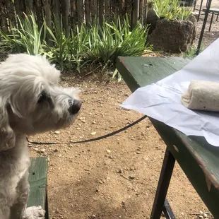 Charles loves burritos