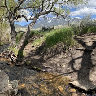 Scenic place to sit and eat