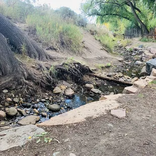 Nice little stream to sit by and chow down