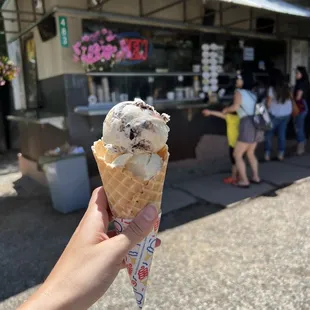 Grasshopper  + peach