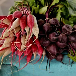 radishes and beets