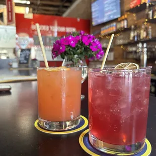 Cactus Wren plus Gin Fizz