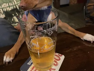 Industry Tap Union