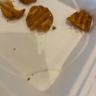 SPIDER IN OUR FRIES!! Ate the entire basket and only realized at the end that there was bugs in our food...