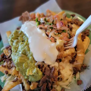 California Fries (Asada Fries)...Sooo bomb!!!