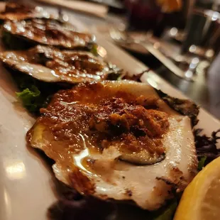 Oysters